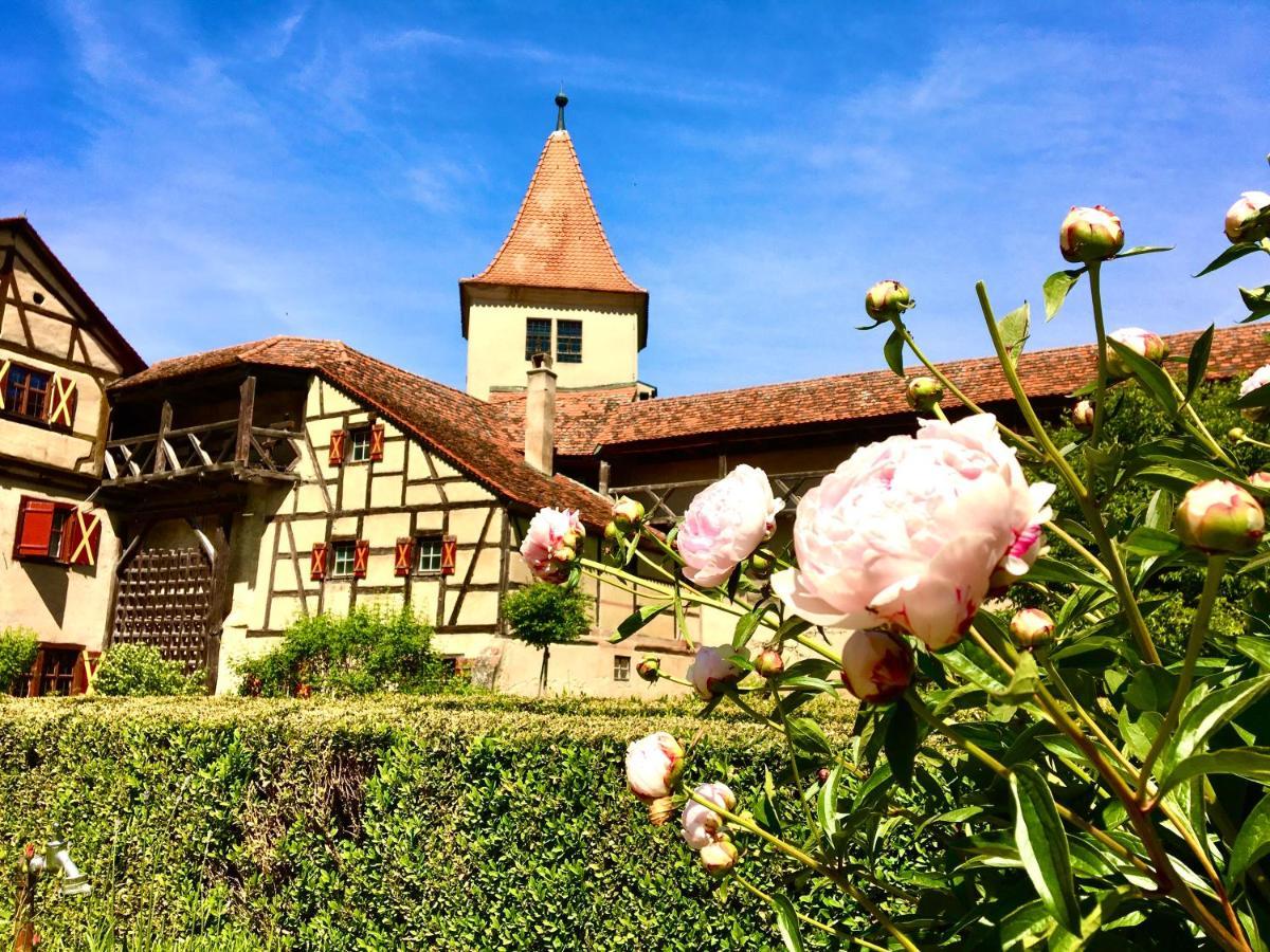 Schlosshotel Harburg Harbourg Extérieur photo